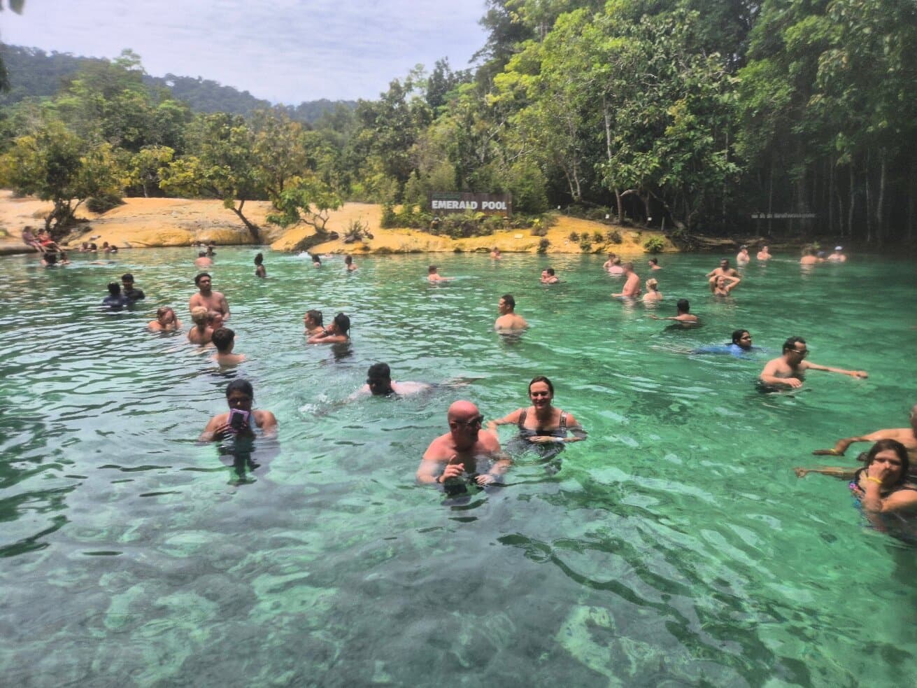 Tropical forest pool