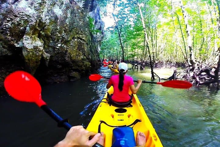 Kayaking through mangroves near Krabi