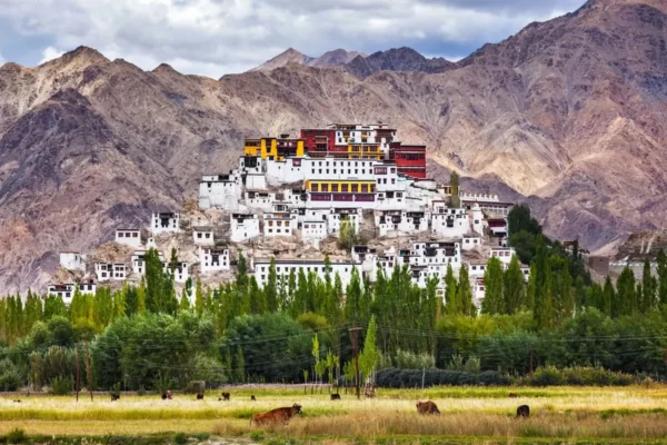 4 nights 5 days Ladakh package